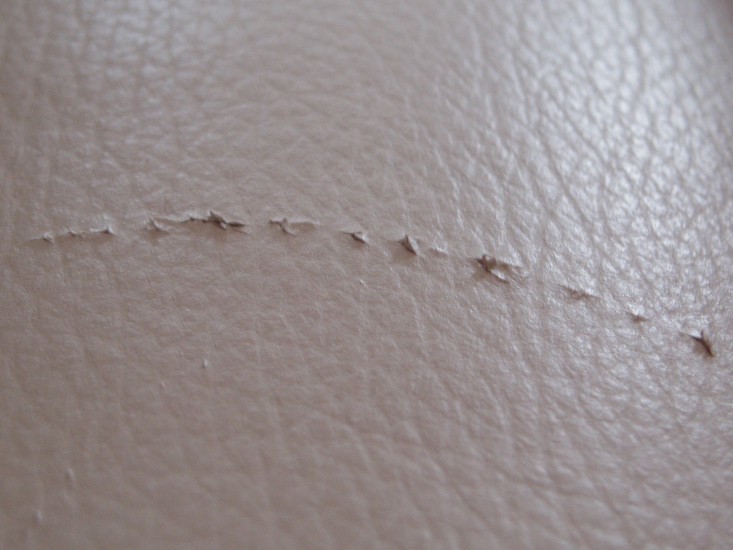 How to Repair Cat Scratches on Leather