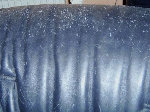 How to repair cat scratches on leather